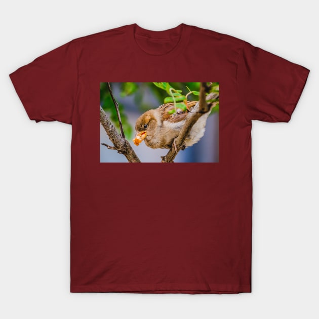 Happy Cute Bird & Breadcrumb Photograph T-Shirt by love-fi